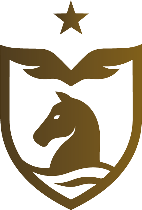 Bastion Strategies Logo